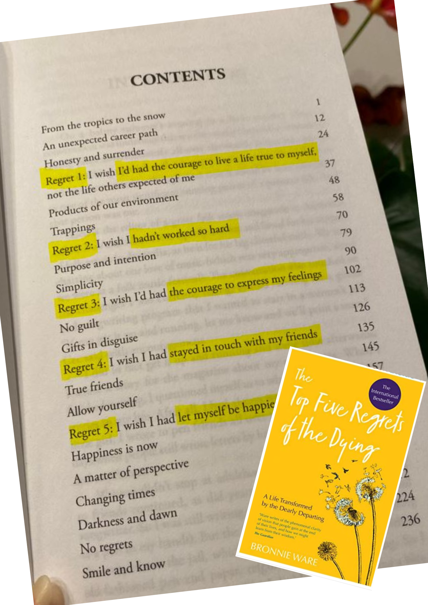 Source: Amazon Bronnie Ware